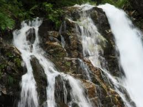 Cascada Urlatoarea poza